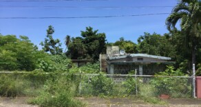 Bo Tejas, Rio Plantation – Bayamon